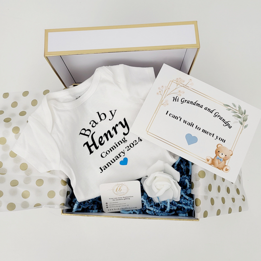 pregnancy reveal onesie