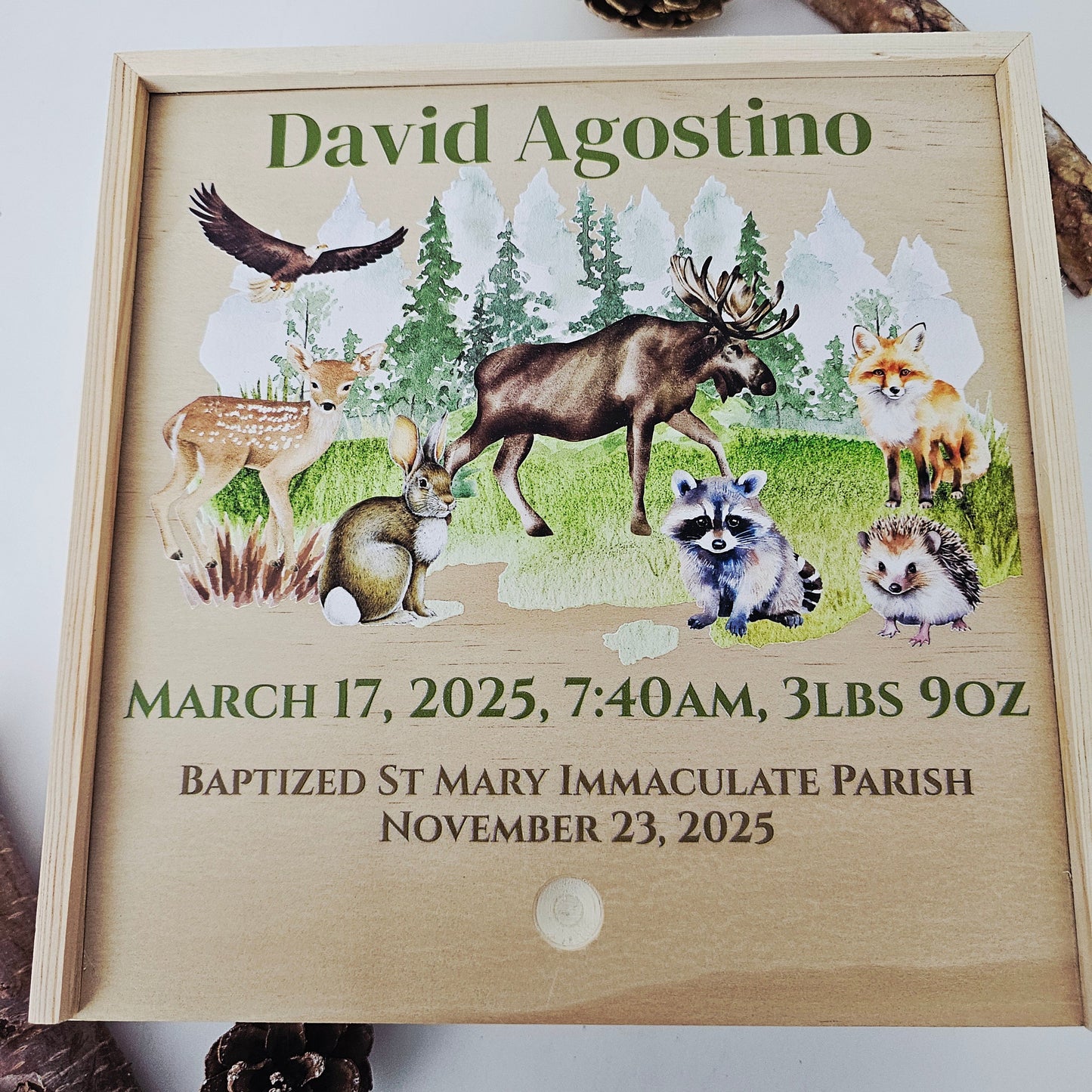 Personalized Baby Birth Stat Keepsake Box - Mountain Wilderness