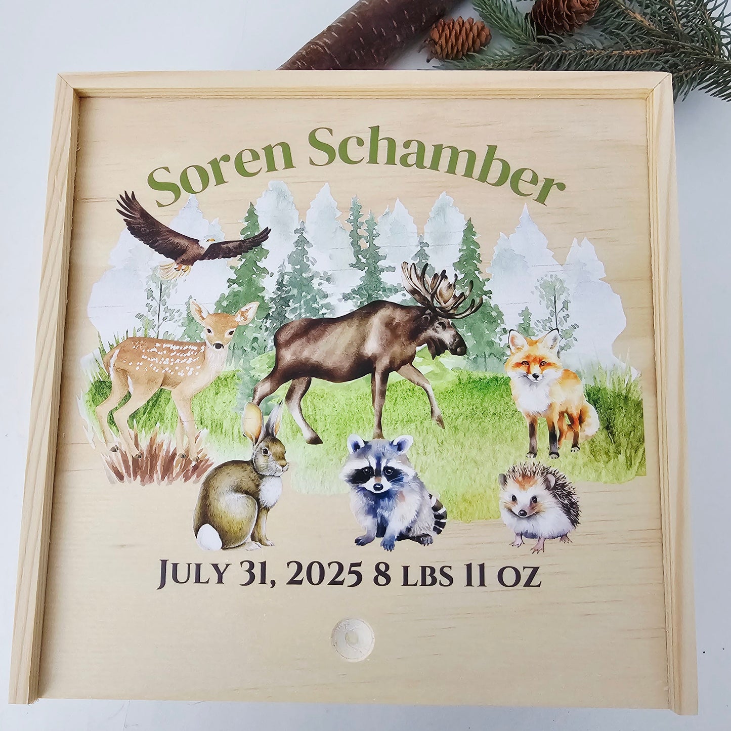 Personalized Baby Birth Stat Keepsake Box - Mountain Wilderness