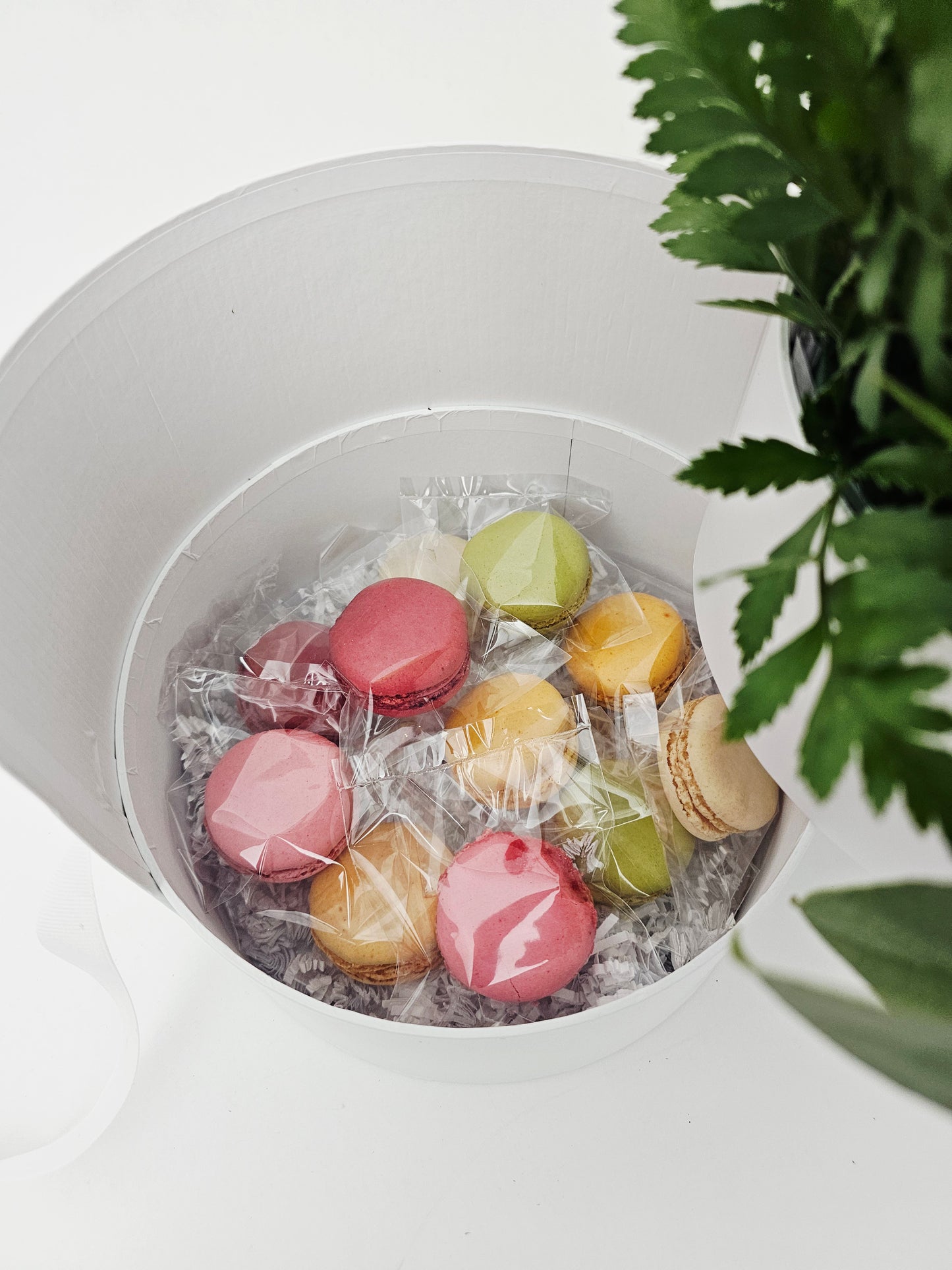 Assorted colorful macarons in a white box with green leaves in the background