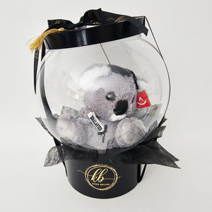 Koalified Koala
