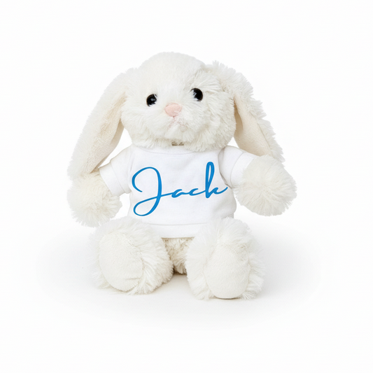 Easter Bunny White Background